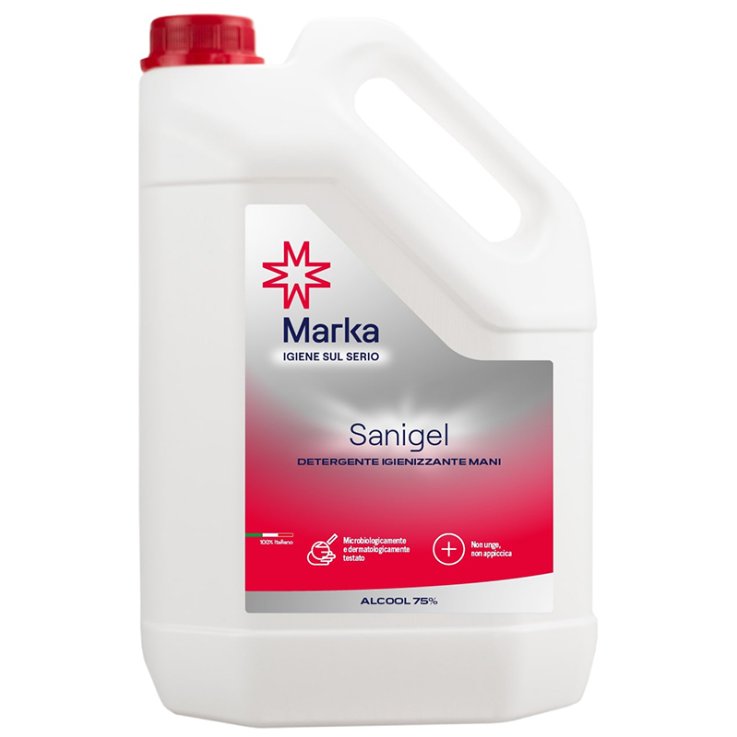 SANIGEL IGIENIZZANTE MANI 5 LITRI