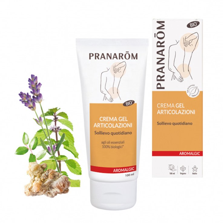 PRANAROM ALGIC Crema Art.100ml PRANAROM ALGIC Crema Art.100ml