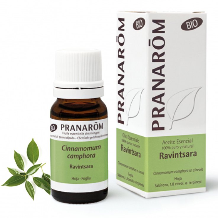 PRANAROM OE Ravintsara 10ml PRANAROM OE Ravintsara 10ml