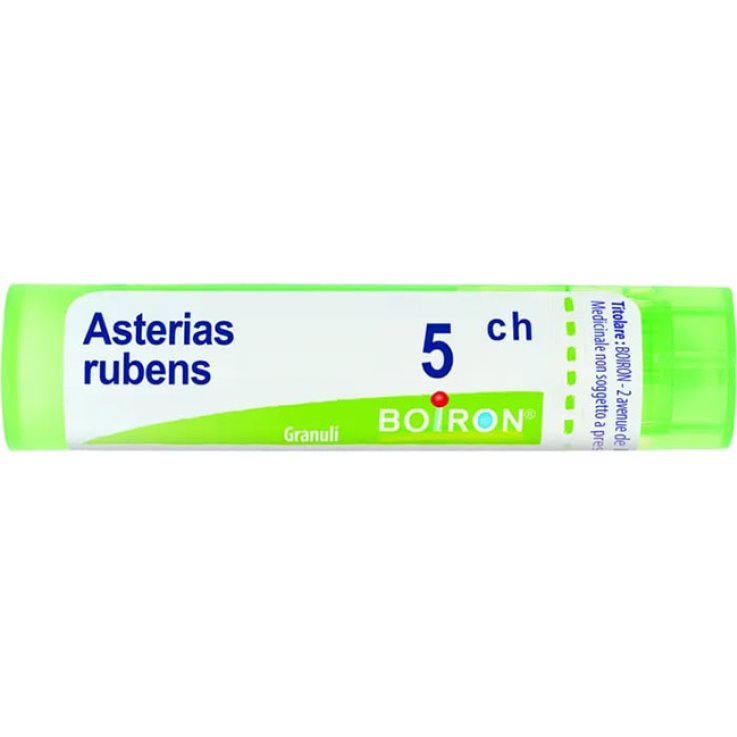 BO.ASTERIAS RUB.Tubo 5CH BO.ASTERIAS RUB.Tubo 5CH