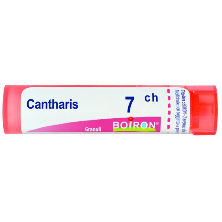 BO.CANTHARIS Tubo 7CH BO.CANTHARIS Tubo 7CH