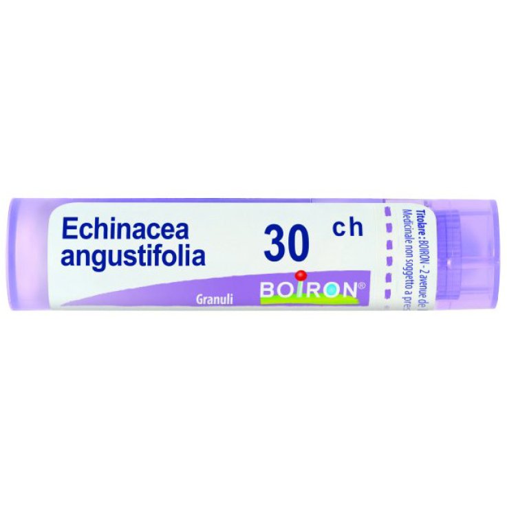 BO.ECHINACEA ANG.Tubo 30CH BO.ECHINACEA ANG.Tubo 30CH