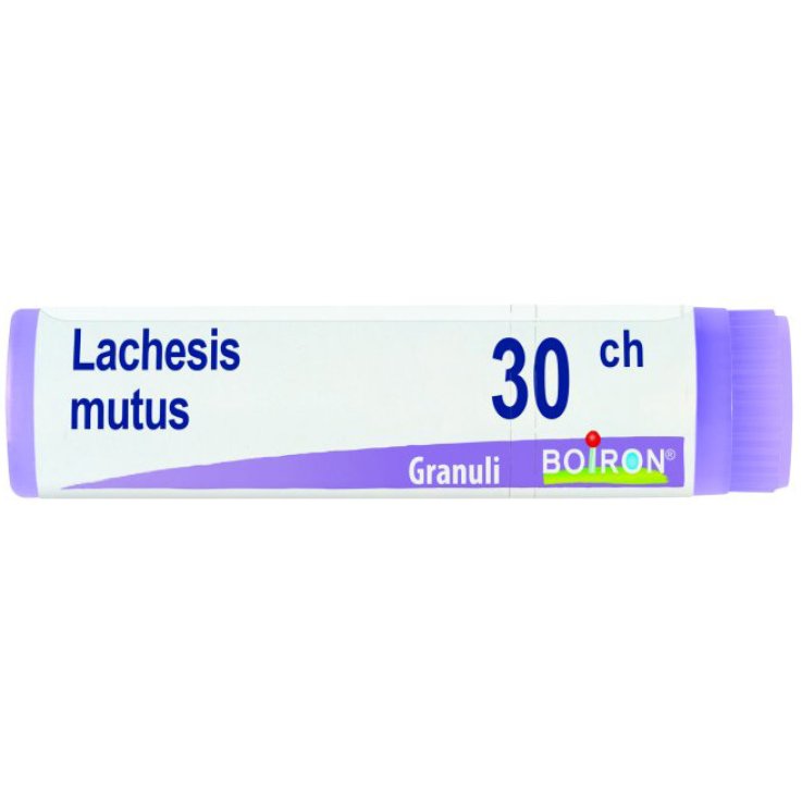 BO.LACHESIS MUT.Dose 30CH BO.LACHESIS MUT.Dose 30CH