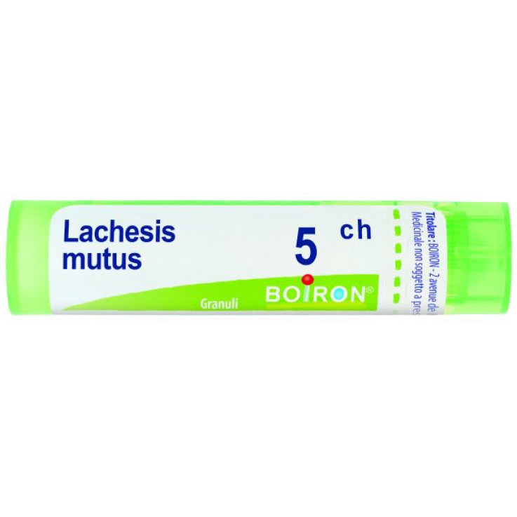 BO.LACHESIS MUT.Tubo 5CH BO.LACHESIS MUT.Tubo 5CH