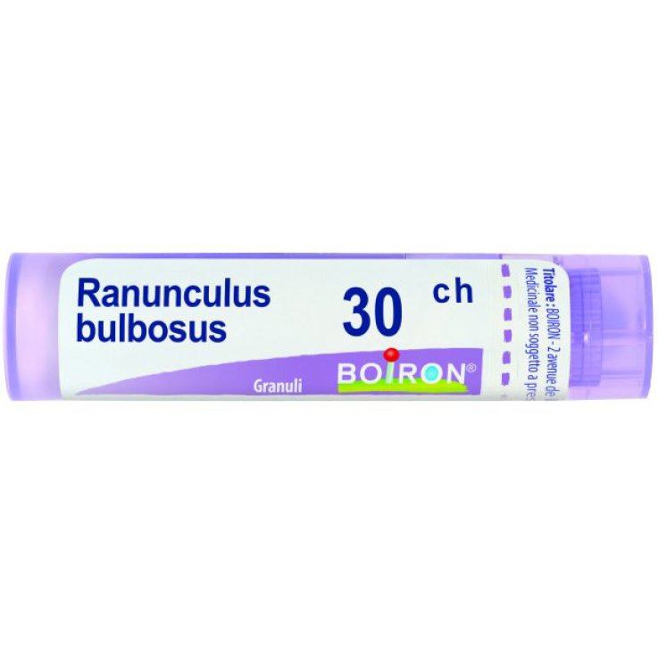 BO.RANUNCULUS Tubo 30CH BO.RANUNCULUS Tubo 30CH
