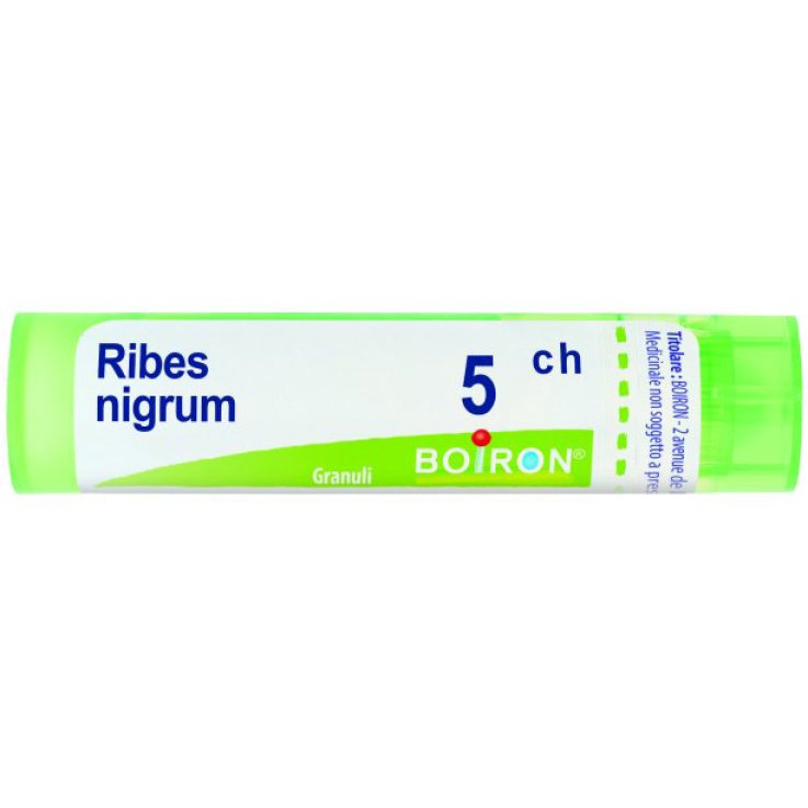 BO.RIBES NIGRUM Tubo 5CH BO.RIBES NIGRUM Tubo 5CH