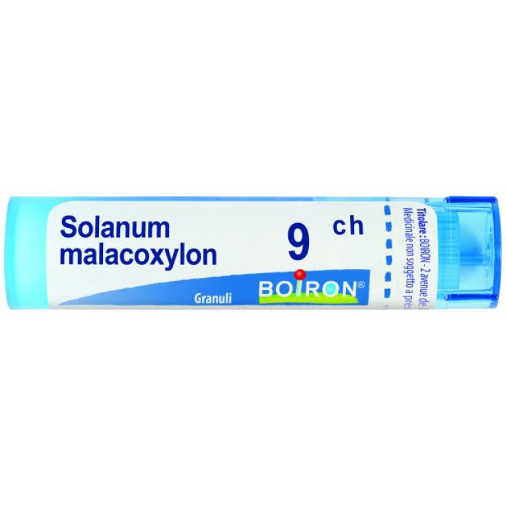 BO.SOLANUM MALAC.Tubo 9CH BO.SOLANUM MALAC.Tubo 9CH