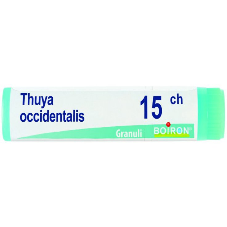 BO.THUYA OCC.Dose 15CH BO.THUYA OCC.Dose 15CH