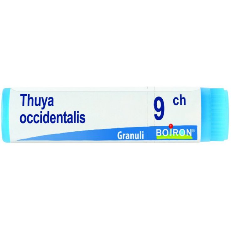 BO.THUYA OCC.Dose 9CH BO.THUYA OCC.Dose 9CH