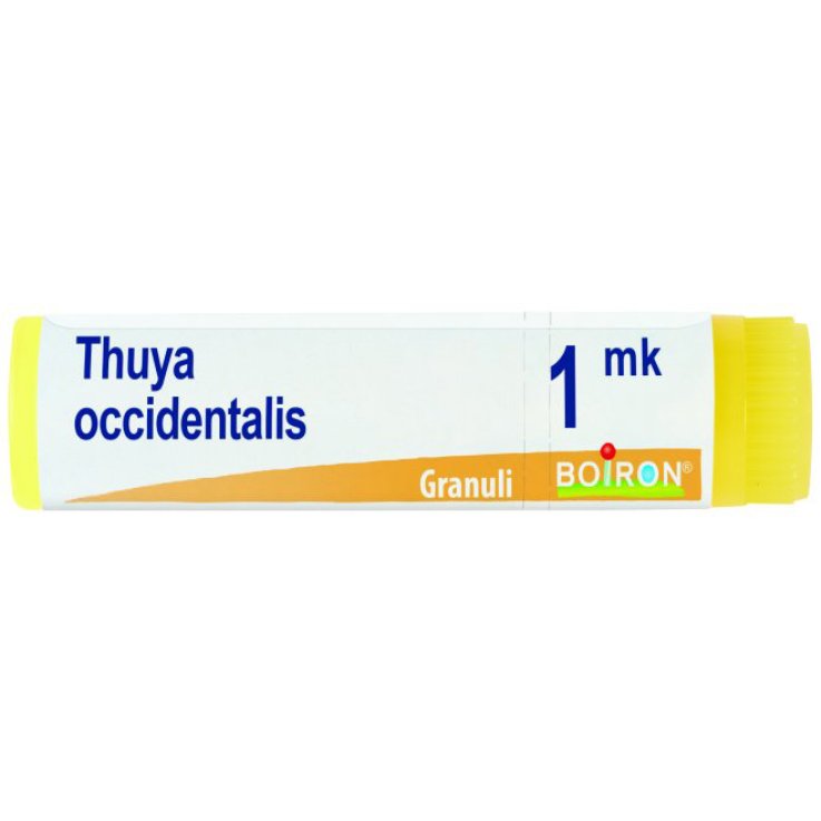 BO.THUYA OCC.Dose MK BO.THUYA OCC.Dose MK