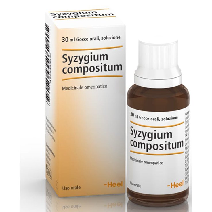 SYZYGIUM COMP Gtt 30ml HEEL SYZYGIUM COMP Gtt 30ml HEEL