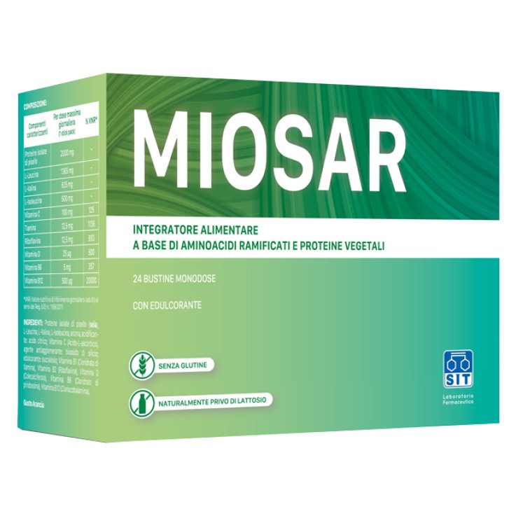 MIOSAR 24 Bust. MIOSAR 24 Bust.