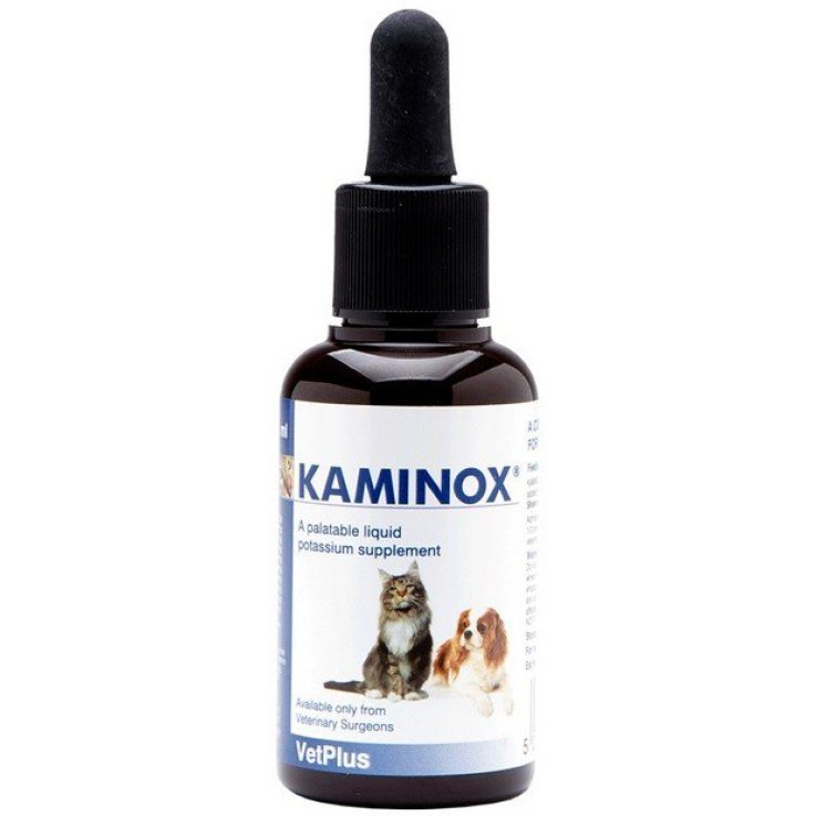 KAMINOX Sciroppo 60ml KAMINOX Sciroppo 60ml