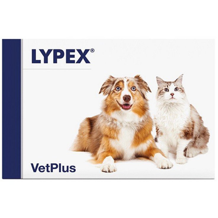 LYPEX 60 Cps LYPEX 60 Cps