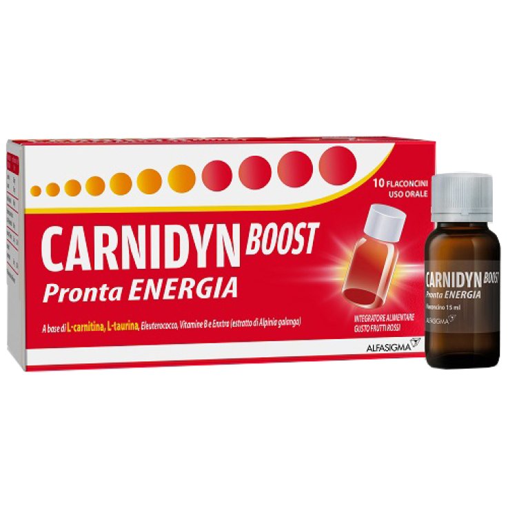 CARNIDYN Boost 10 Fl. CARNIDYN Boost 10 Fl.
