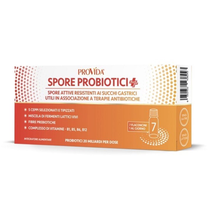 PROVIDA 7fl.Prob.Plus 20MLD PROVIDA 7fl.Prob.Plus 20MLD