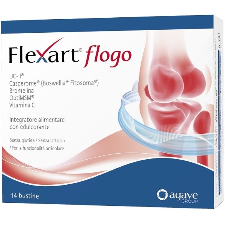 FLEXART Flogo 14 Bust. FLEXART Flogo 14 Bust.