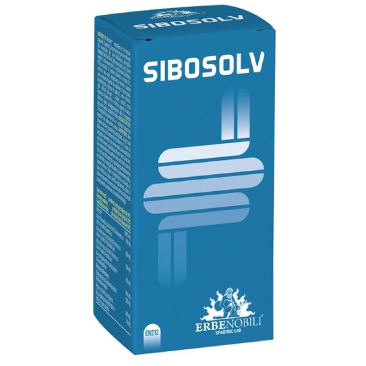 SIBOSOLV 60Cps AcidoResisti SIBOSOLV 60Cps AcidoResisti