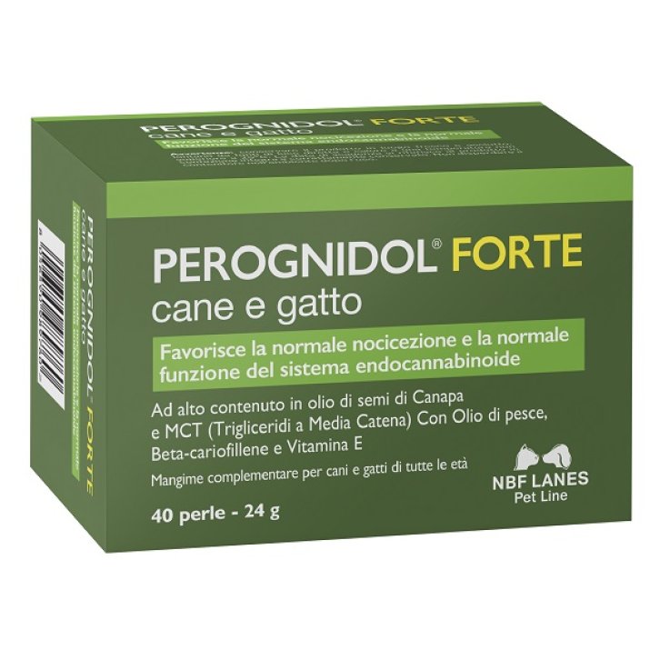 PEROGNIDOL Cane&Gatto FtePerle PEROGNIDOL Cane&Gatto FtePerle