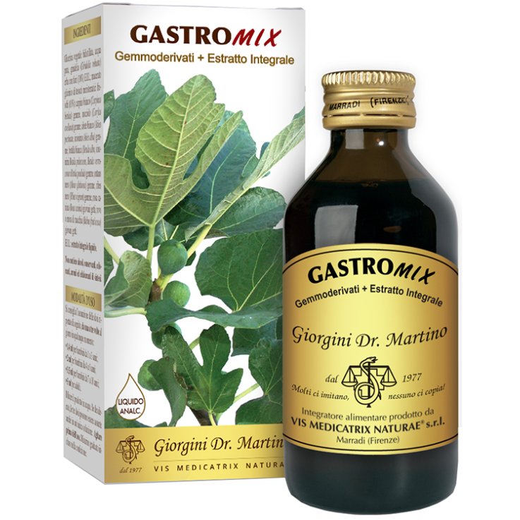 GASTROMIX Liq.Analc.100ml GASTROMIX Liq.Analc.100ml