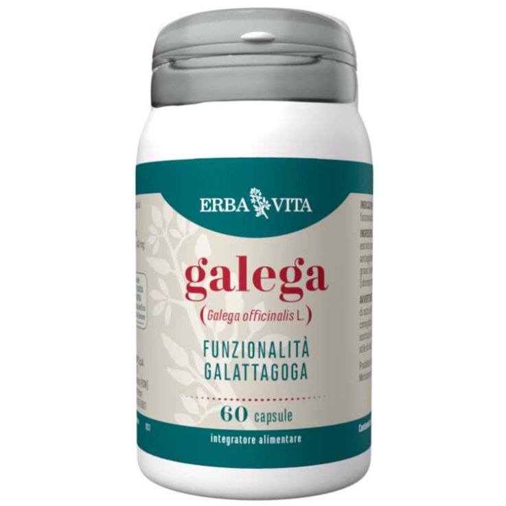 GALEGA 60 Cps 450mg EBV GALEGA 60 Cps 450mg EBV