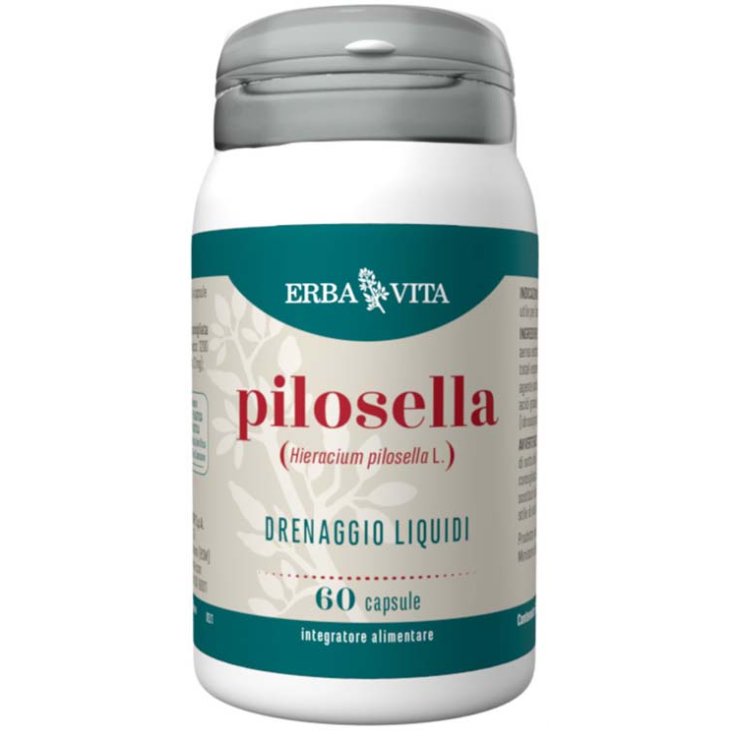 PILOSELLA 60 CAPSULE PILOSELLA 60 CAPSULE