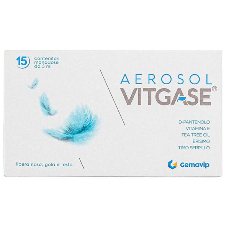 VITGASE Aerosol*15F.5ml