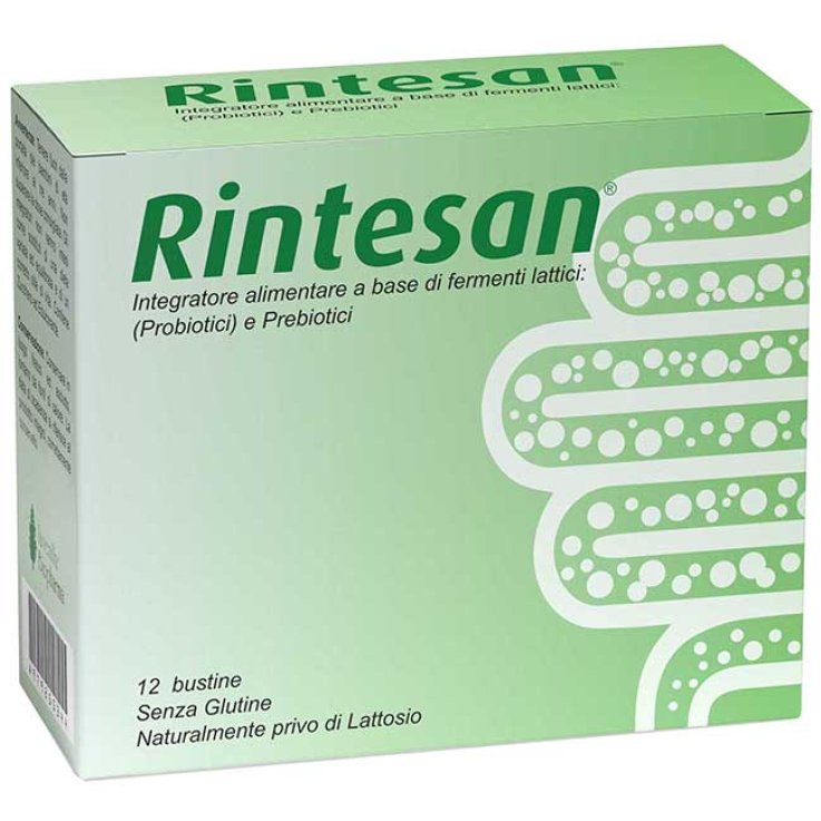 RINTESAN 12 Bust. RINTESAN 12 Bust.