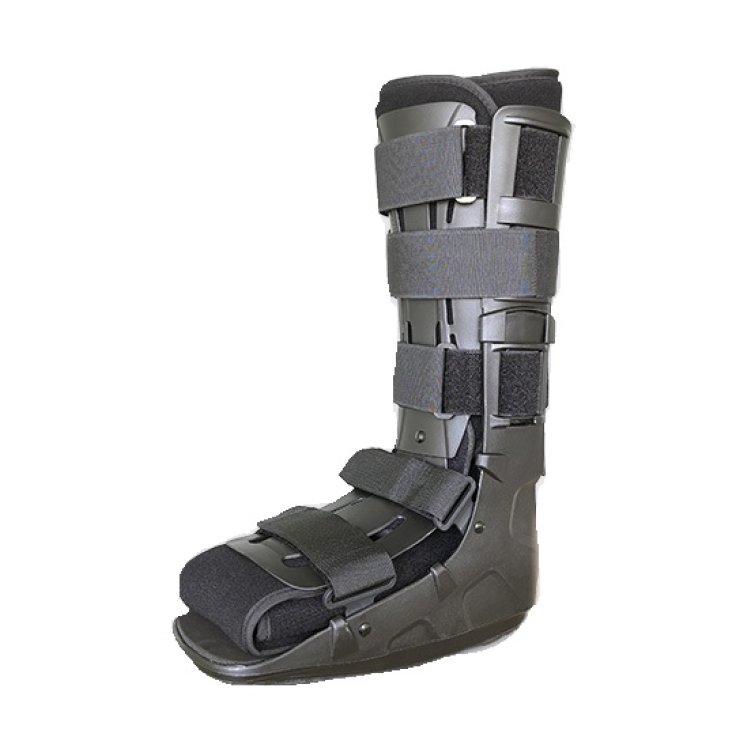FGP Walker Fisso Econex No M FGP Walker Fisso Econex No M