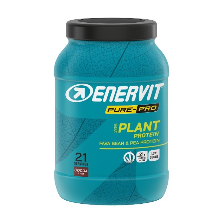 ENERVIT PP PROTEIN PLANT CACAO ENERVIT PP PROTEIN PLANT CACAO