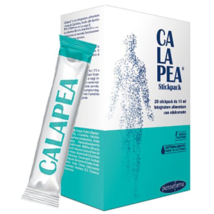 CALAPEA 14 Bust. CALAPEA 14 Bust.