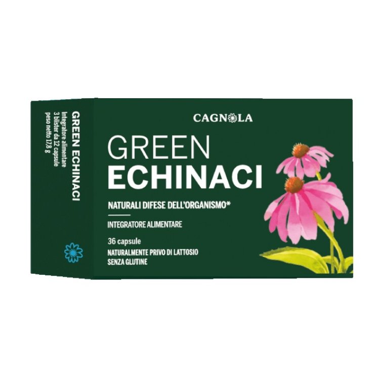 GREEN ECHINACI 36CPS CGN