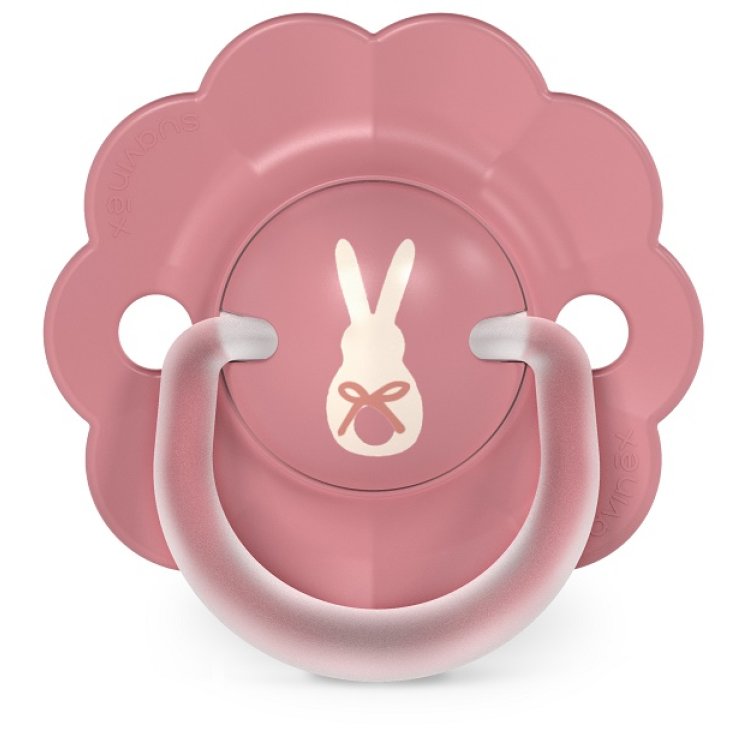 SUAVINEX WONDERLAND SUCCHIETTO 6/18 MESI DECORO ROSA SUAVINEX WONDERLAND SUCCHIETTO 6/18 MESI DECORO ROSA