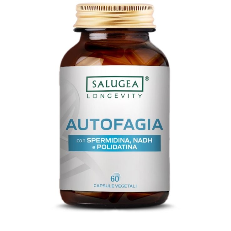 SALUGEA AUTOFAGIA 60Cps SALUGEA AUTOFAGIA 60Cps
