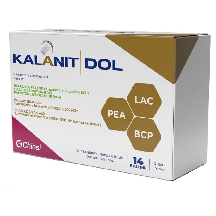 KALANIT DOL 14 Bust. KALANIT DOL 14 Bust.