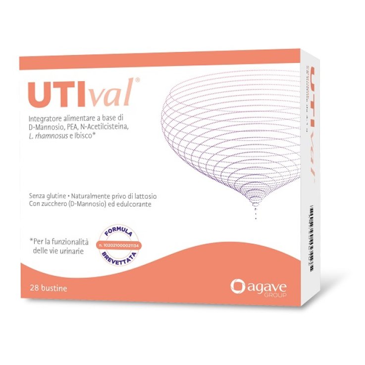 UTIVAL 28 Bust. UTIVAL 28 Bust.