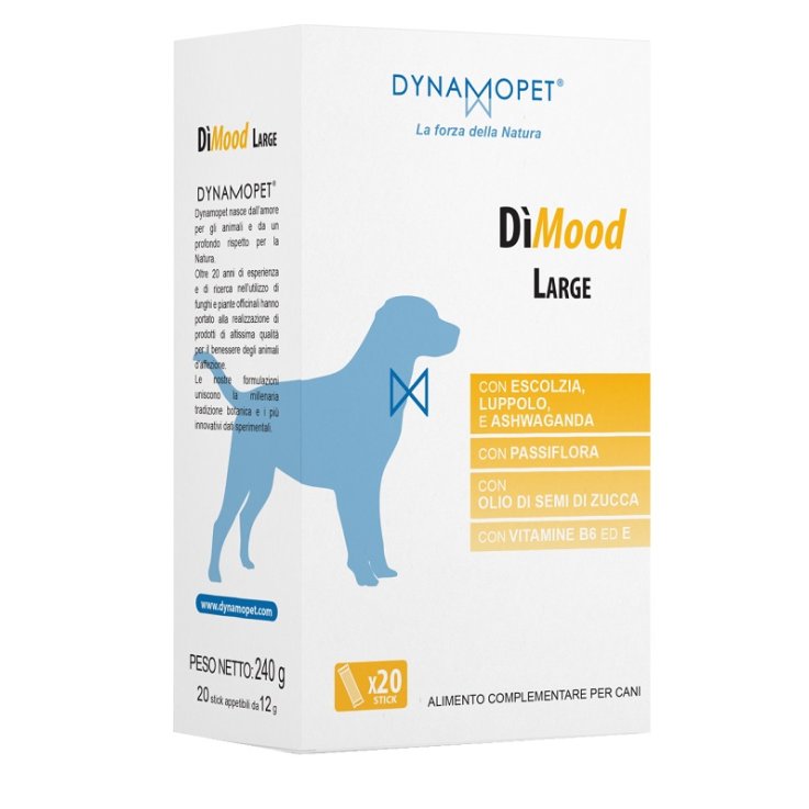 DIMOOD LARGE 20 Stick 12g DIMOOD LARGE 20 Stick 12g