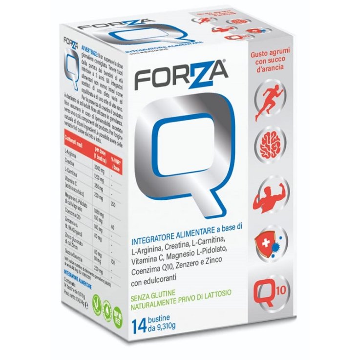 FORZA Q 14 Bust.