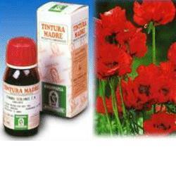 PAPAVERO CALIFORNIA 13 50ML TM - Farmapanda Srl