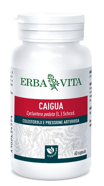 CAIGUA 60 CAPSULE 400 MG - Farmapanda Srl