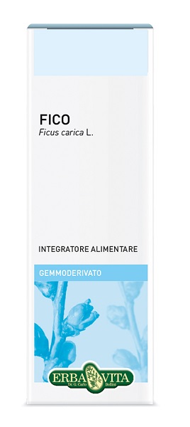 GEMMODERIVATO FICO 50 ML - Farmapanda Srl