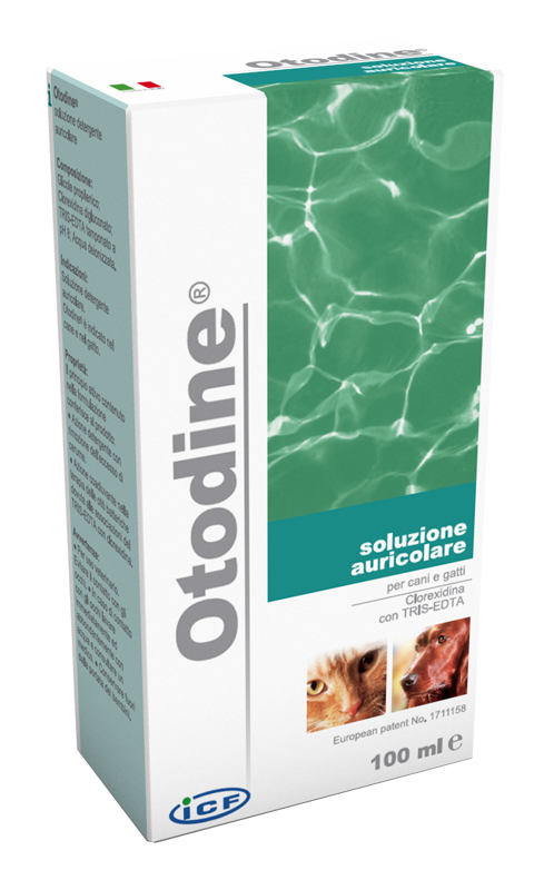 OTODINE DETERGENTE LIQUIDO 100 ML - Farmapanda Srl