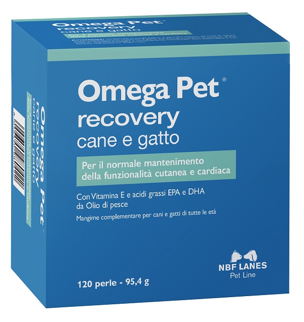 OMEGA PET RECOVERY BLISTER 120 PERLE - Farmapanda Srl