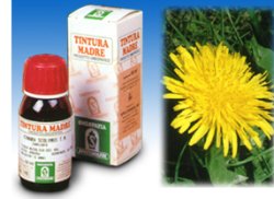 TARASSACO 28 50ML TM - Farmapanda Srl