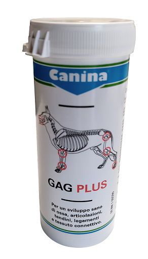GAG PLUS 200 G 120 TAVOLETTE - Farmapanda Srl