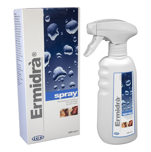 ERMIDRA' SPRAY 300 ML - Farmapanda Srl