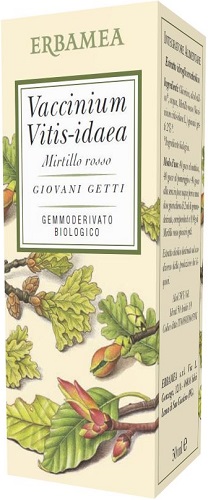 VACCINIUM VITIS IDAEA MIRTILLO ROSSO BIO 50 ML - Farmapanda Srl