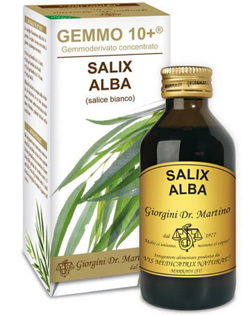 GEMMO 10+ SALICE BIANCO 100 ML LIQUIDO ANALCOLICO - Farmapanda Srl