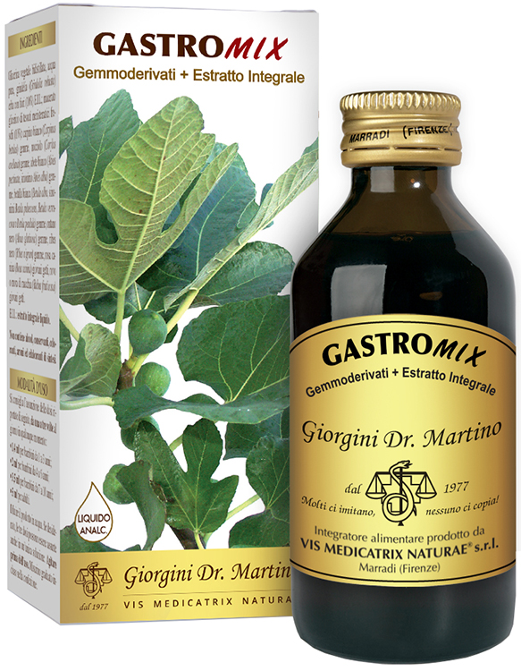GASTROMIX LIQUIDO ANALCOLICO 200 ML - Farmapanda Srl
