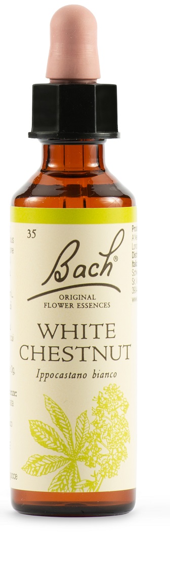 WHITE CHEST BACH ORIG 20 ML - Farmapanda Srl